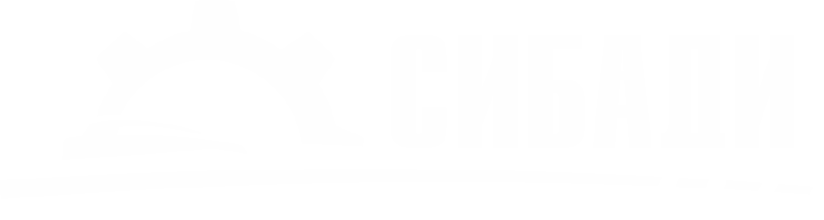 Сайт электронного обучения ФГБОУ ВО "СибАДИ"